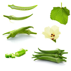 green okra fruits isolated on a white background