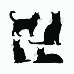 Obraz premium American Shorthair Cat Silhouette Vector Set Animals Illustration Template