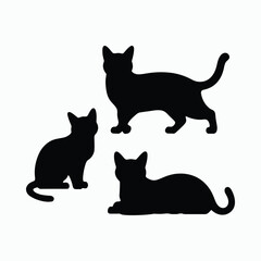 Obraz premium American Shorthair Cat Silhouette Vector Set Animals Illustration Template