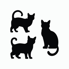 Obraz premium American Shorthair Cat Silhouette Vector Set Animals Illustration Template