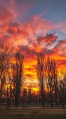 Fototapeta premium Vibrant sunset over a city park silhouettes of trees against fiery skies
