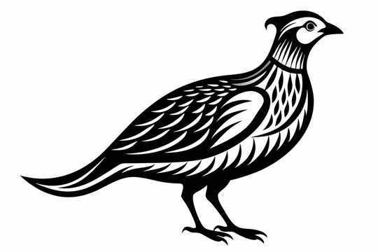 recommend clip art: Engraving style slim quail  silhouette black  vector art illustration