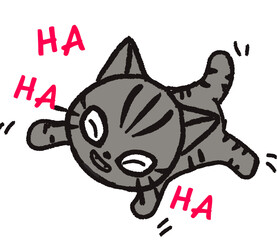cat laughing