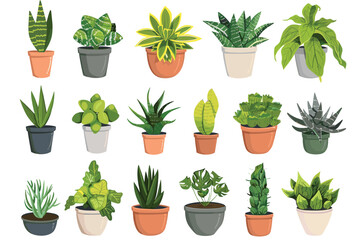 Obraz premium Different plant collection in pot for home decoration, isolated on a white background. Plant in pot vector illustration flowerpots set. Vector Set of different houseplants in flower pots