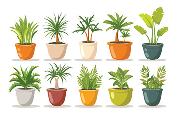 Obraz premium Different plant collection in pot for home decoration, isolated on a white background. Plant in pot vector illustration flowerpots set. Vector Set of different houseplants in flower pots