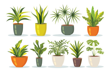 Different plant collection in pot for home decoration, isolated on a white background. Plant in pot vector illustration flowerpots set. Vector Set of different houseplants in flower pots