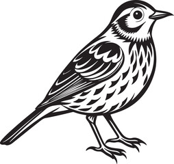 Fototapeta premium Bird silhouette isolated avian vector illustration AI generated