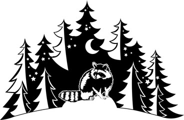 Fototapeta premium Forest Racoon