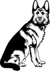 German Shepherd
