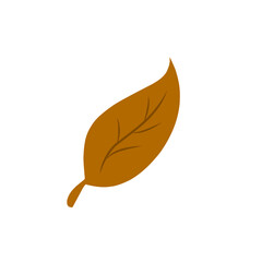 minimalist brown leaf 