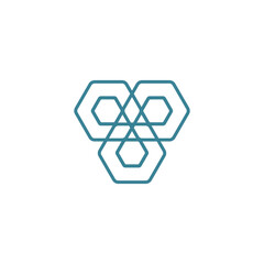 hexagon interconnected abstract logo, minimalist network vector