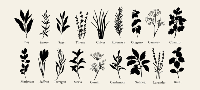 Flat vector herbs and spices collection