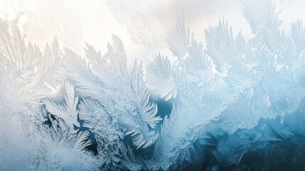  frost forming delicate patterns on a windowpane, 