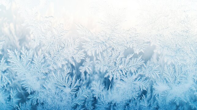  frost forming delicate patterns on a windowpane, 