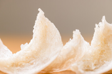 Dry bird nest close up