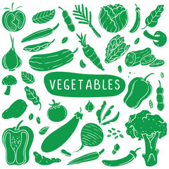 Hand Drawn Green Vegetable Assortment Set. Green color silhouette vector illustration drawing.