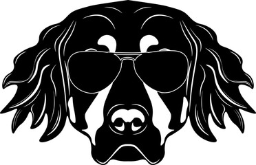 Hovawart In Sunglasses