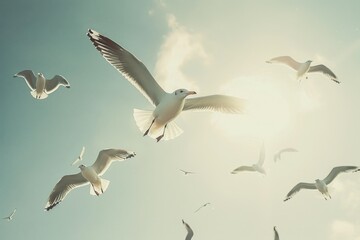 Fototapeta premium Seagulls flock, soaring through blue sky, Seagulls soaring overhead