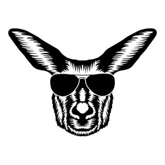 Kangaroo In Sunglasses