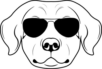 Kuvasz In Sunglasses