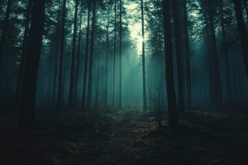 Obraz premium Sunbeams Through a Misty Forest