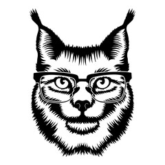 Lynx In Glasses