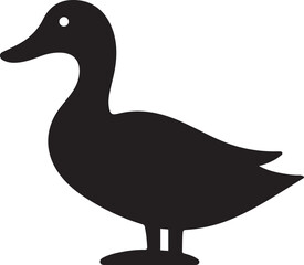 Duck isolated on white