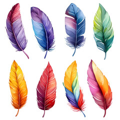 set of colorful feathers, watercolor painting, perfect for graphic design elements and art projects