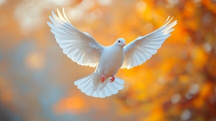 White dove in flight with autumn background Generative AI