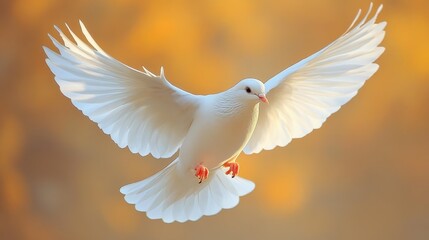Obraz premium White Dove in Flight Against a Warm Background Generative AI