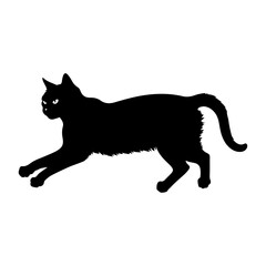 A Angry Cat vector silhouette isolated whtie background