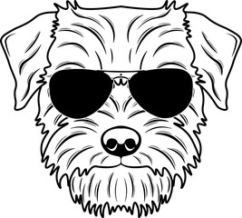 Norfolk Terrier In Sunglasses