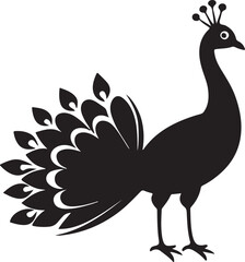 Peacock Silhouette peacock icon - Majestic Bird  Peacock colourful Vector Design logo  Black and white silhouette peacock vector illustration. Silhouette illustration of a peacock Tail Display on Whi
