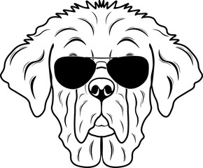 Newfoundland In Sunglasses