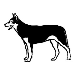 Obraz premium Northern Inuit