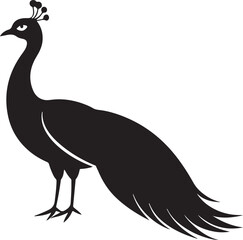 Peacock Silhouette - Majestic Bird with Elaborate Peacock colourful Vector Design logo  Black and white silhouette peacock vector illustration. Silhouette illustration of a peacock Tail Display on Whi