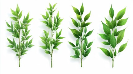 Fototapeta premium Vibrant Green Plant Stems Isolated on White Generative AI