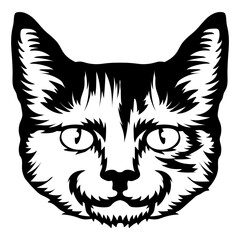 Obraz premium American Wirehair Cat Face