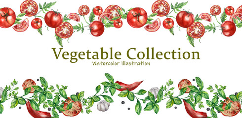 Watercolor Illustration. Juicy Bright Tomatoes, Vegetable Green, Pepper, Garlic. Seamless Banner. For Packaging Juices, Ketchup, Home Kitchen Textiles, Menus, Cookbooks, Recipes, Blogs, Websites