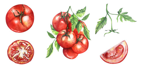 Watercolor Illustration. Juicy Bright Tomatoes, Slices, Leaves. . Series Vegetables. For Packaging Juices, Ketchup, Home Kitchen Textiles, Menus, Cookbooks, Recipes, Blogs, Websites