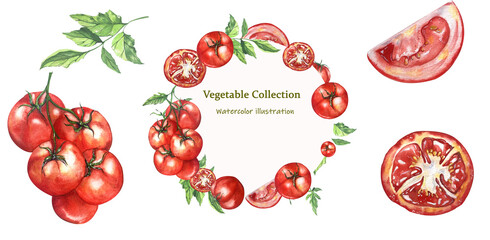 Watercolor Illustration. Set Juicy Bright Tomatoes, Slices, Leaves, Wreath. Series Vegetables. For Packaging Juices, Ketchup, Home Kitchen Textiles, Menus, Cookbooks, Recipes, Blogs, Websites