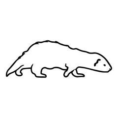 Baby Ferret Outline