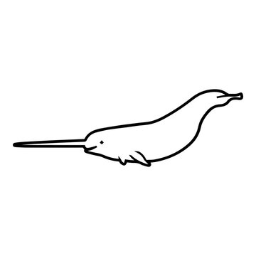 recommend clip art: Baby Narwal Outline