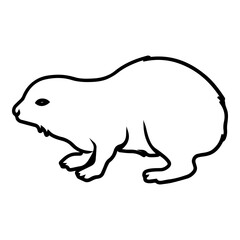 Baby Rock Hyrax Outline