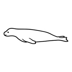 Obraz premium Baby Seal Outline
