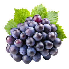 Fototapeta premium Fresh black grapes Isolated white background