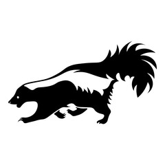 Baby Skunk