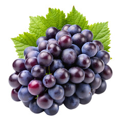 Fototapeta premium Fresh black grapes Isolated white background