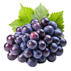 Fototapeta premium Fresh black grapes Isolated white background