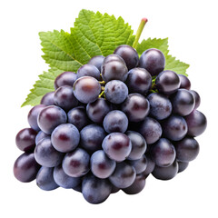 Fototapeta premium Fresh black grapes Isolated white background